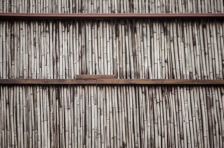 Bamboo background 