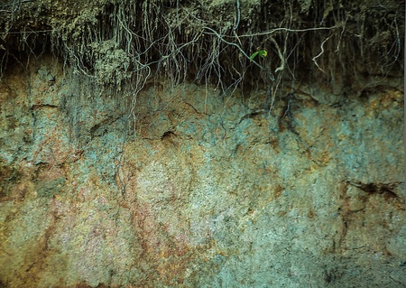Background of stone wall texture 