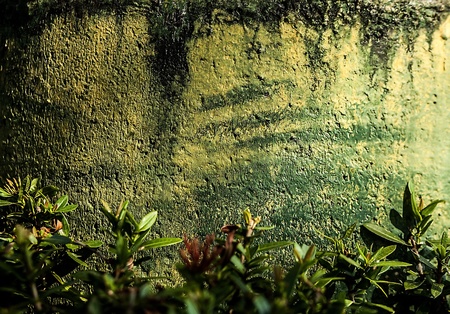 Rough stone background 