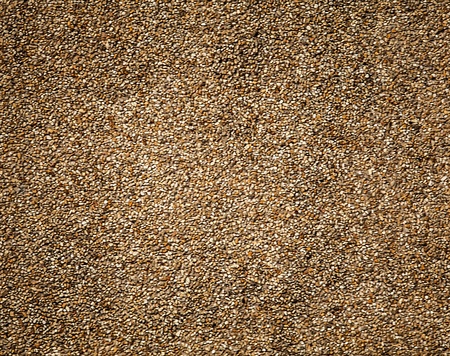 Old stone wall  Background photo 