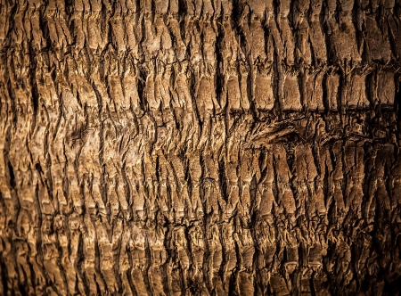 Old Wooden Background の写真素材