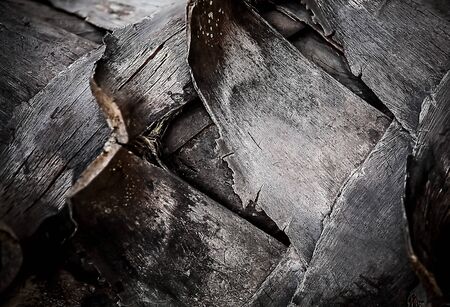 Old wood background 