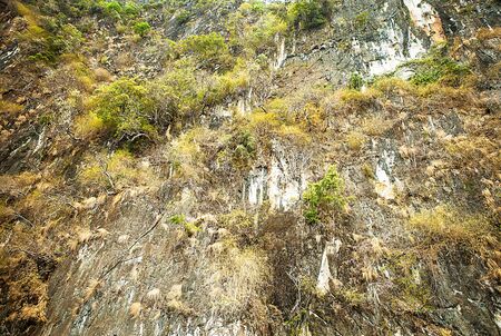 Mountain rocks with vegetationの写真素材