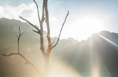 Landscape of tropical island   の写真素材