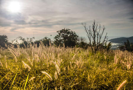 Dramatic sunset sky   の写真素材