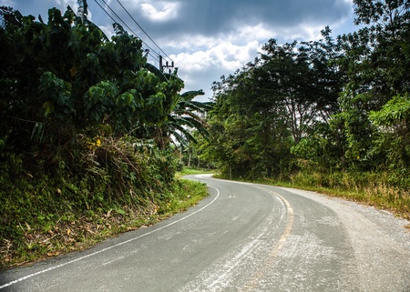 Tropical road   の写真素材
