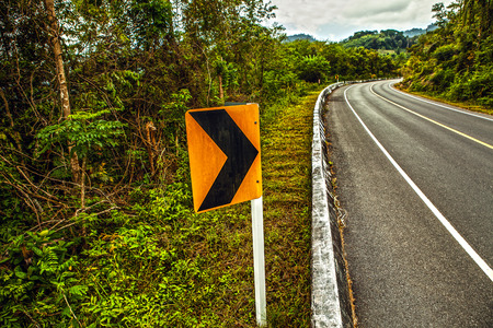 Asphalt road in rainforestの写真素材