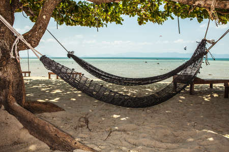Hammocks on tropic beachの写真素材