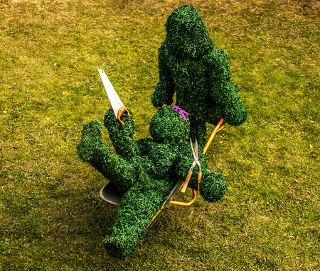 Family of live bushes. Outdoor fairy tale style photo.の写真素材