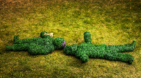 Family of live bushes. Outdoor fairy tale style photo.