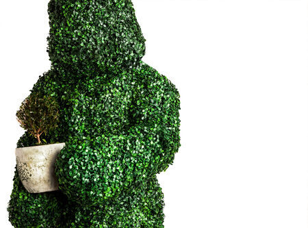 Live bush pose holding pot with a tree, isolated on a white . Studio photo.の写真素材