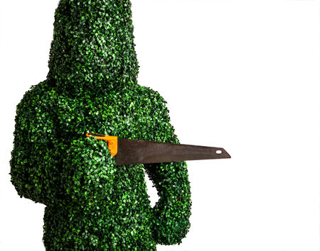 Live bush pose holding old hand saw, isolated on a white . Studio photo.の写真素材