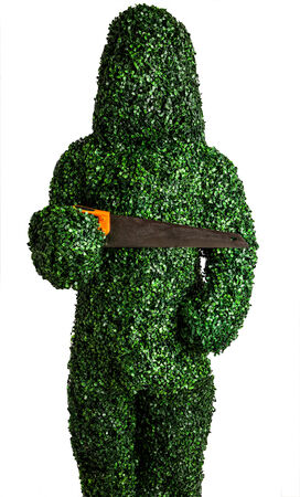 Live bush pose holding old hand saw, isolated on a white . Studio photo.の写真素材