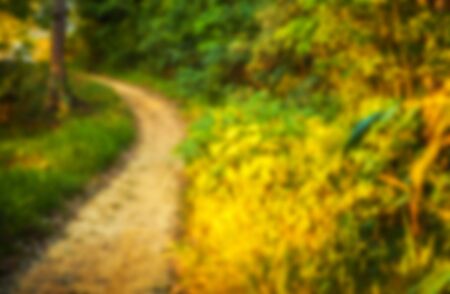 Beautiful blurred tropical view in defocus. Landscape photo with empty road.