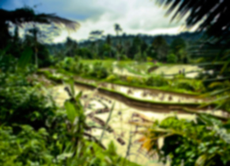 Beautiful blurred tropical view in defocus. Abstract landscape symbolical photo.の写真素材