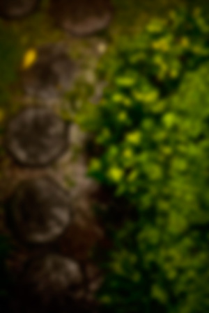 Beautiful blurred tropical view in defocus. Landscape photo with empty road.の写真素材