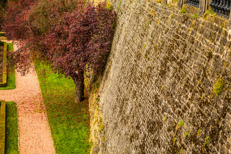 Aerial view of autumn park in district of Luxembourg City.の写真素材
