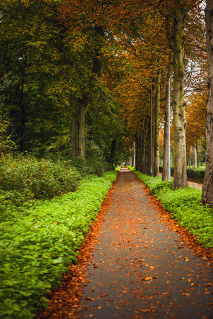 Beautiful autumn european park elements close-up.のeditorial素材