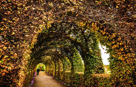 Muiderslot castle ancient park ensembleの写真素材