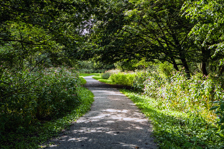 Beautiful city park elements close-up.の写真素材