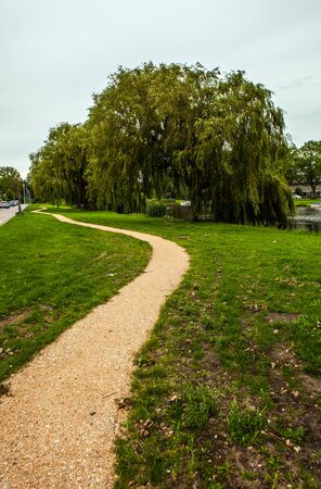 Beautiful city park elements close-up.の写真素材