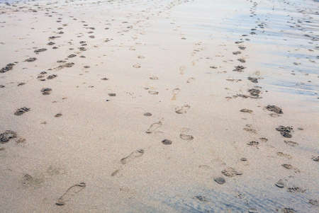 Traces on beach sand as background.
