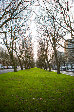 Beautiful city park elements close-up.の写真素材