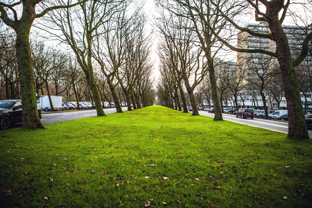 Beautiful city park elements close-up.の写真素材