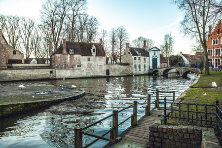 Minnewater landscape with swans at evening in Brugge, Belgium.の写真素材