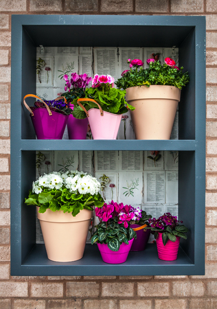 Floristic decorative elements close-up.の写真素材