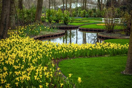 Keukenhof flower park in Netherlands. Elements of park design.の写真素材