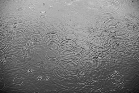 Rain drops falling on clear water. Black-white background photo.の写真素材