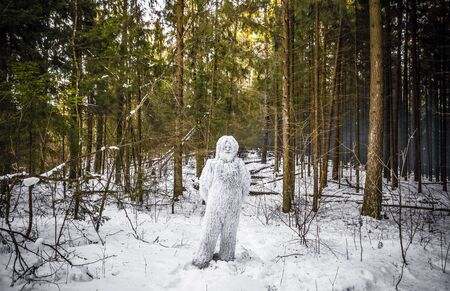 Yeti fairy tale character in winter forest. Outdoor fantasy photo.の写真素材