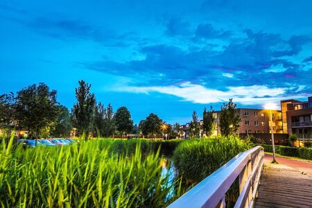 Pond with reflection and river plants at night.のeditorial素材
