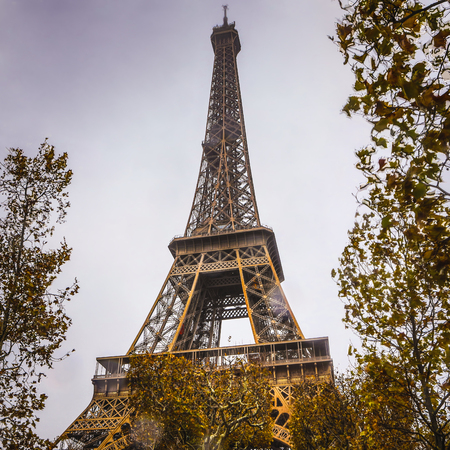 Eiffel tower in Paris at rainy autumn evening.の写真素材