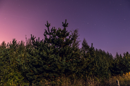 Night landscape on a full moon.の写真素材