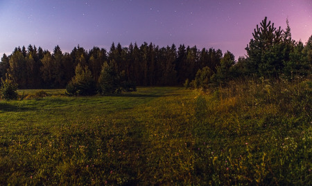 Night landscape on a full moon.の写真素材