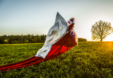 Fairy tale woman on stilts with silver flag in bright fantasy stylization. Fine art outdoor photo. の写真素材