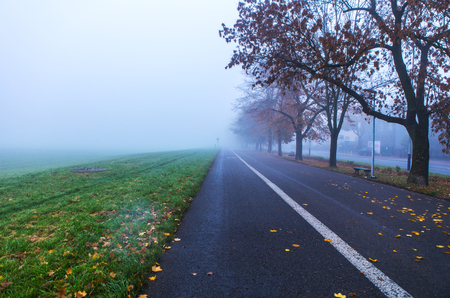 Krakow city park at autumn foggy morning.の写真素材