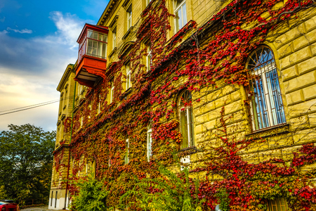 Traditional Czech architecture of antique Prague buildings at autumn.のeditorial素材