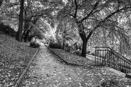 Prague autumn parks.の写真素材