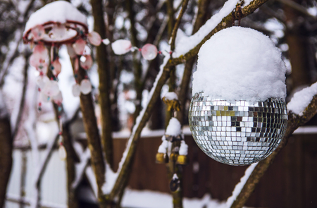 Snow covered disco ball on garden tree.の写真素材