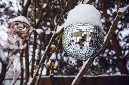 Snow covered disco ball on garden tree.の写真素材