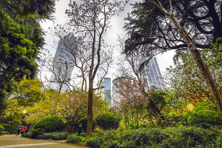 Traditional Chinese City Garden Park.の写真素材