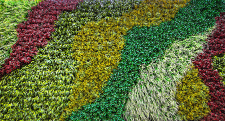 Floristic background of various herbs.の写真素材