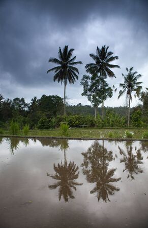 Breathtaking Indonesian traditional tropical islands nature landscape.の写真素材