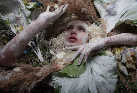 Female portrait in fairy tale stylisation surrounded with natural plants and flowers.の写真素材