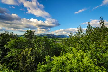 Beautiful scenic landscape of Scotland nature close-up.の写真素材