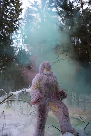 Yeti fairy tale character in winter forest. Outdoor fantasy photo.の写真素材