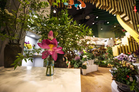 BEIJING, Ð¡HINA - JUNE 01, 2019: International Horticultural Exhibition 2019, Beijing, China.のeditorial素材